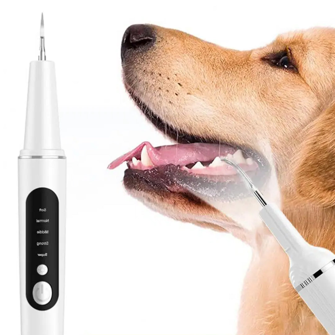 Smile Pet - Dental Kit